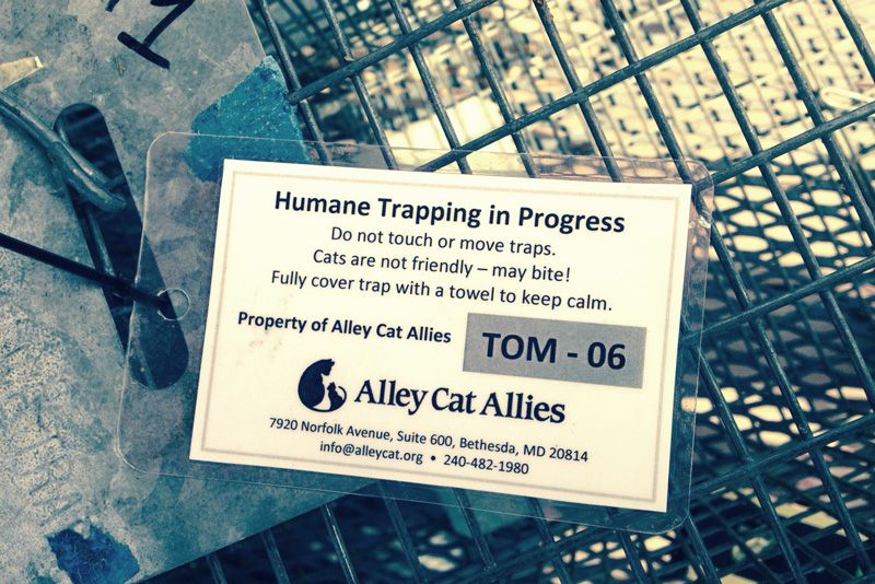 a laminated sign that says humane trapping in progress