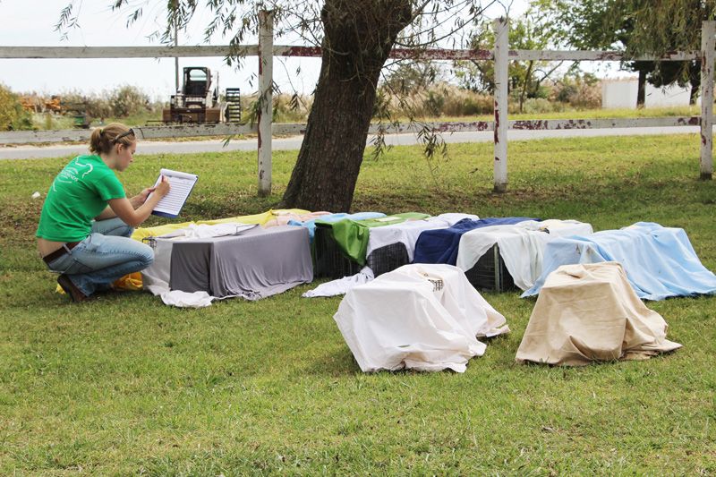 a woman kneels and writes on a paper surrounded by covered cat traps