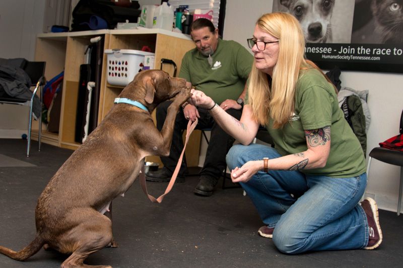 a woman training a dog to shake while a man looks on