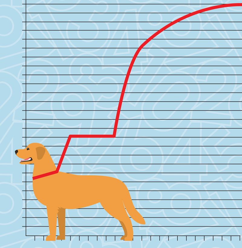 illustration of a dog and a graph showing up an upward trend