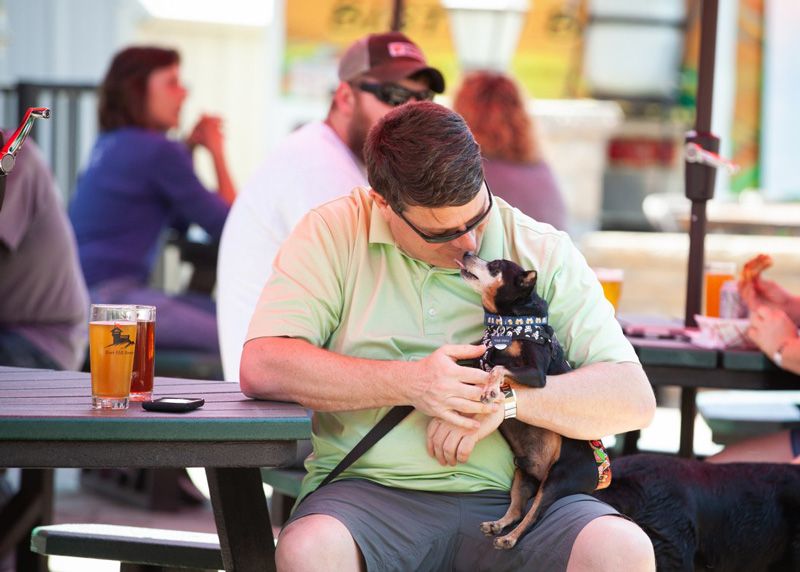 a dog licking a man's face