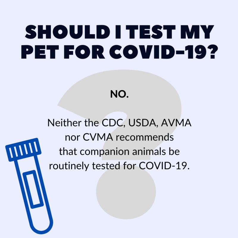 Should I test my pet for COVID-19?