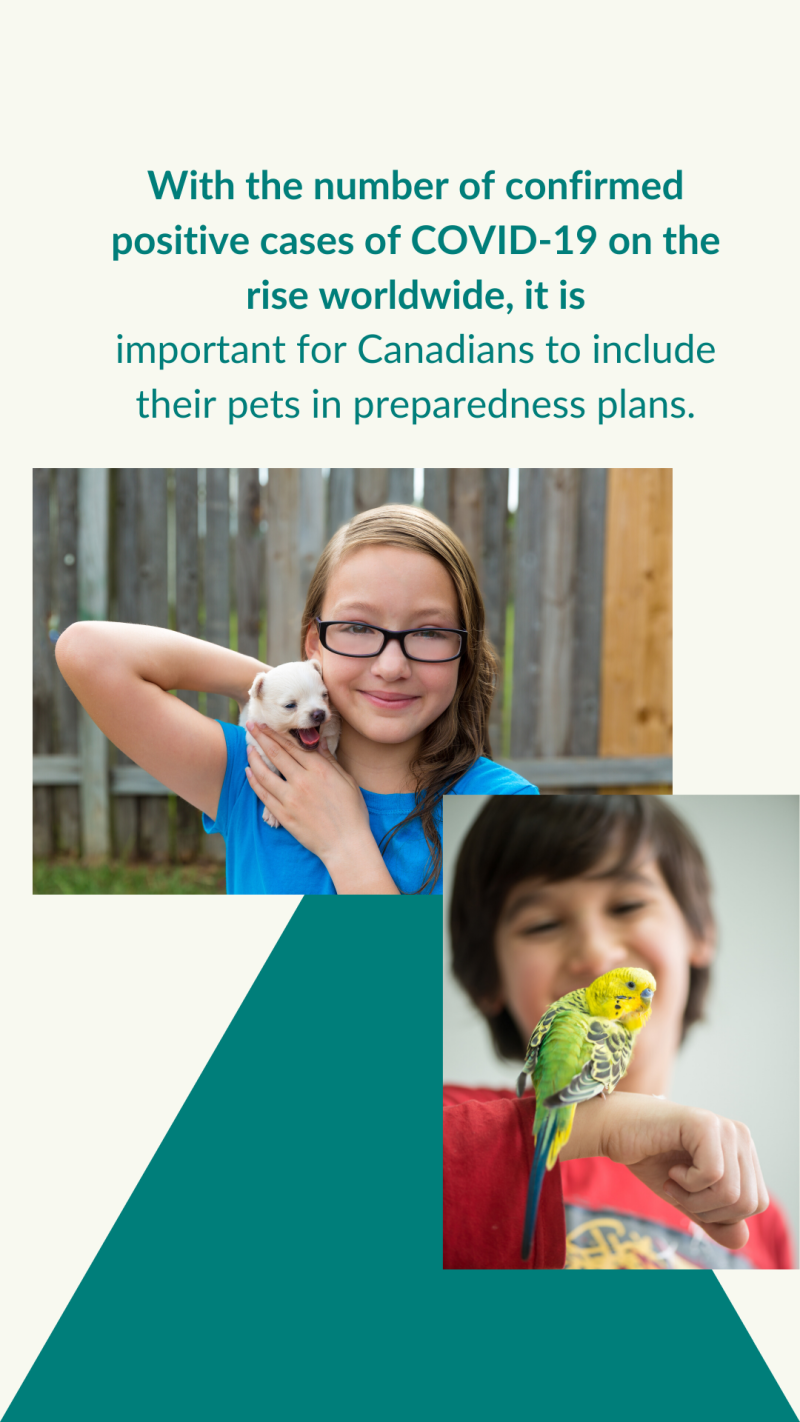 it is important for Canadians to include pets in their plans