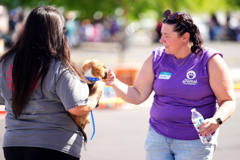 Volunteer petting dog