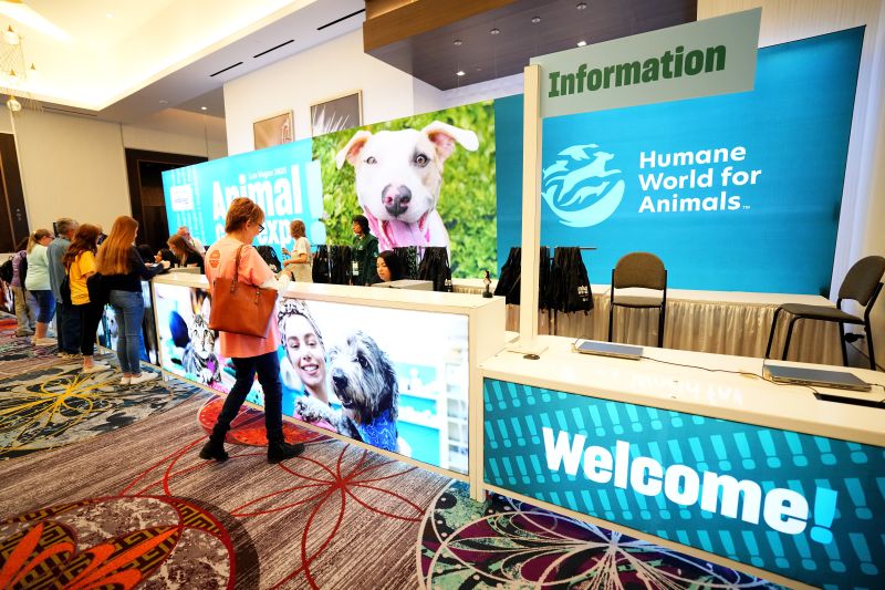 Photo of the Expo registration desk