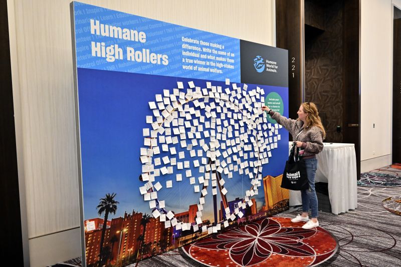 Person putting a note on a recognition wall
