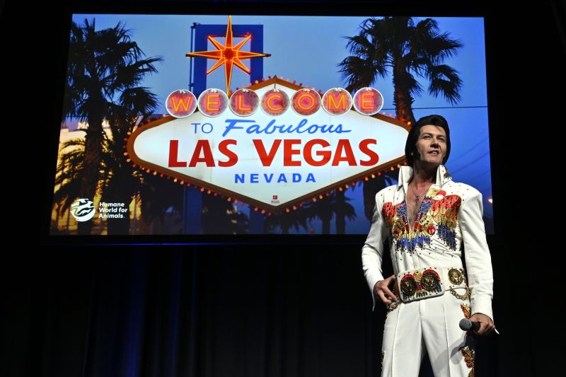 Elvis impersonator on stage