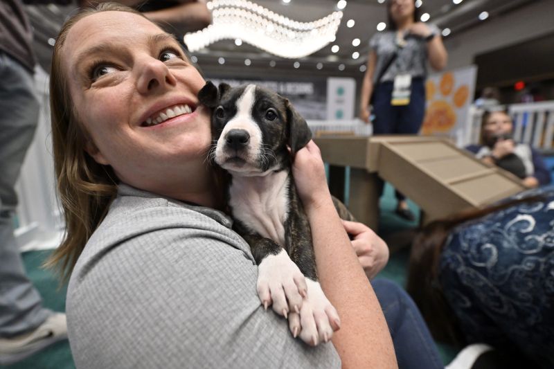 Woman holding a puppy