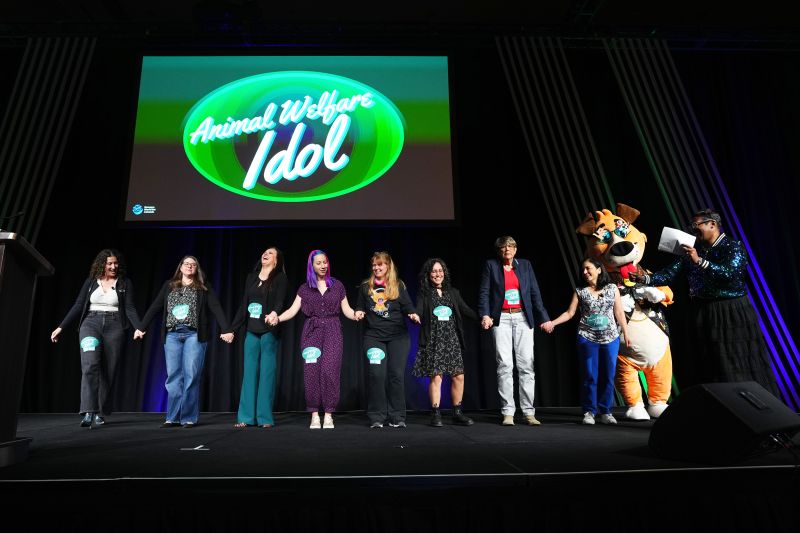 Contestants on stage