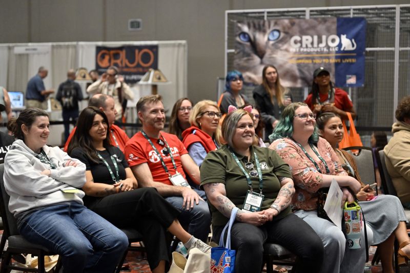Group of attendees smiling watching a presentation