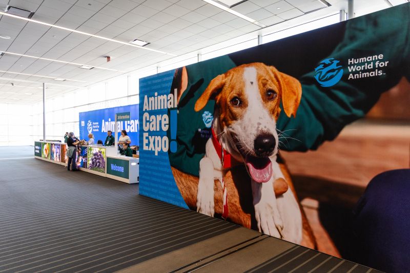 Registration desk at Expo