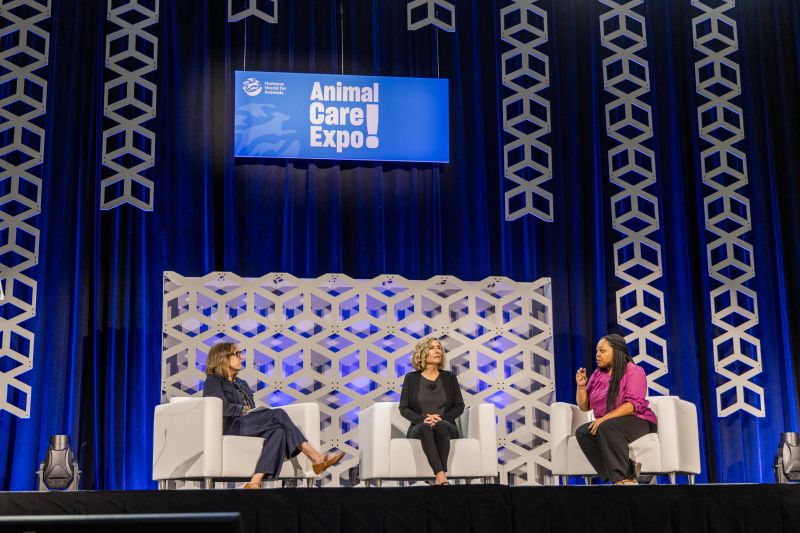 Panel of speakers on Expo main stage