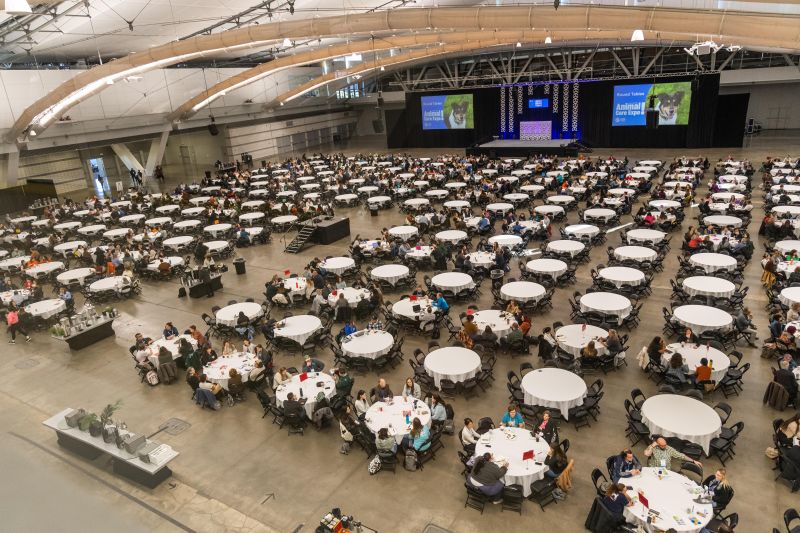Ariel view of Round Tables