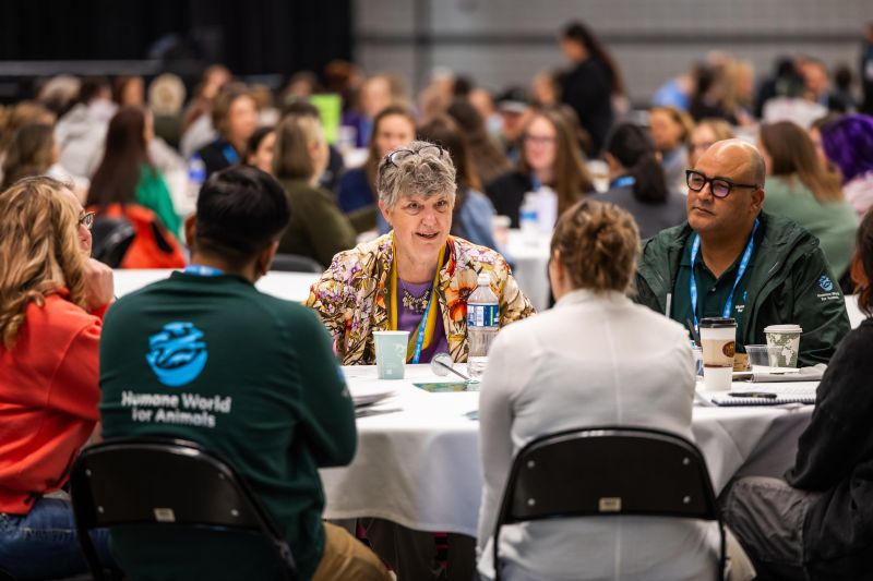 Round Table discussions