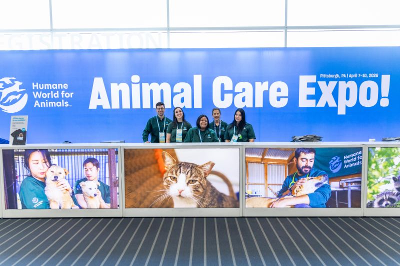 Registration staff at Expo registration desk