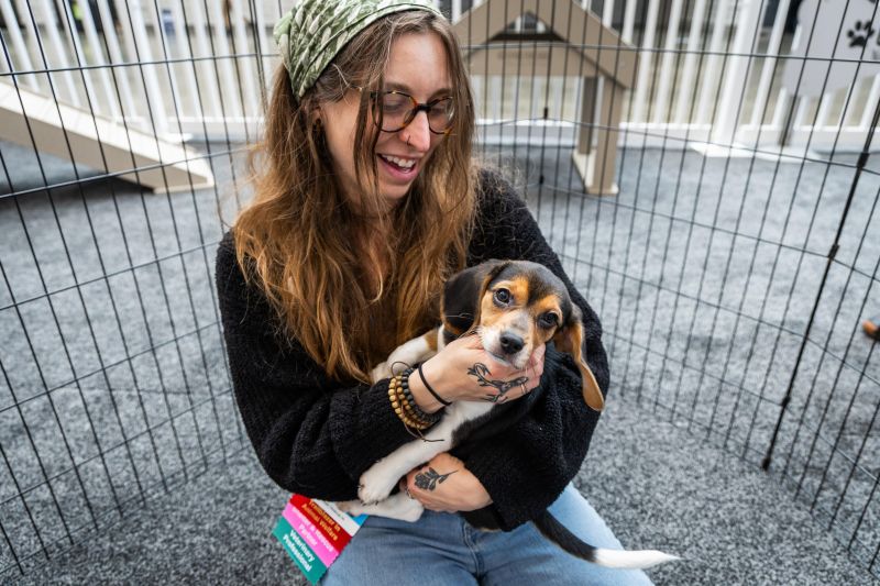 Attendee holding a beagle puppy
