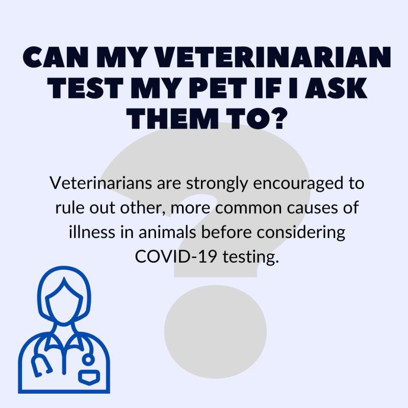 Can my vet test my pet if I ask them to?