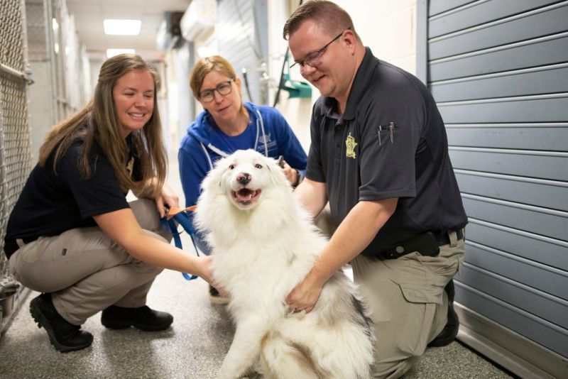 three people gather around a fluffy white dog