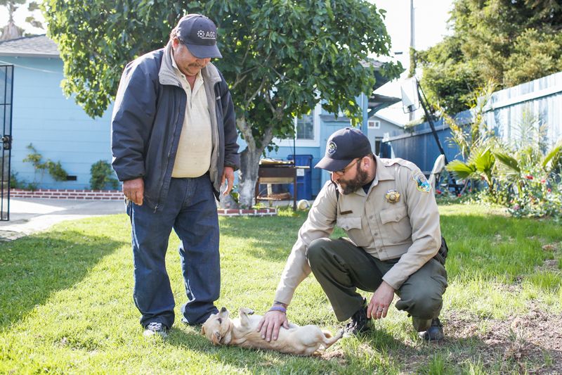 an animal control officer pets a dog while its owner looks on