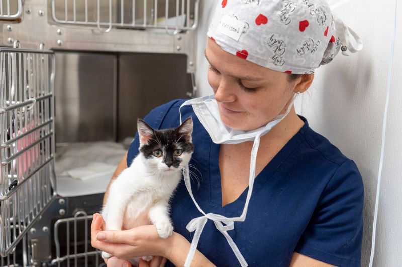 a woman looks at a small kitten she is holding