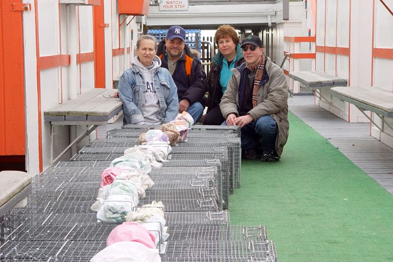 Four people kneeling behind a long line of cat traps