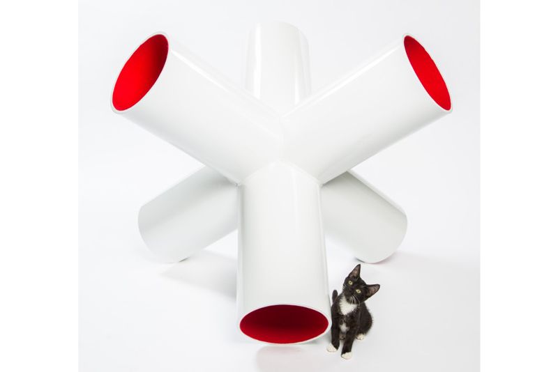 a cat posing next to a sculpture composed of multiple white tubes