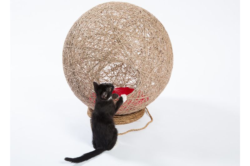 a cat examining a spherical enclosure made of twine