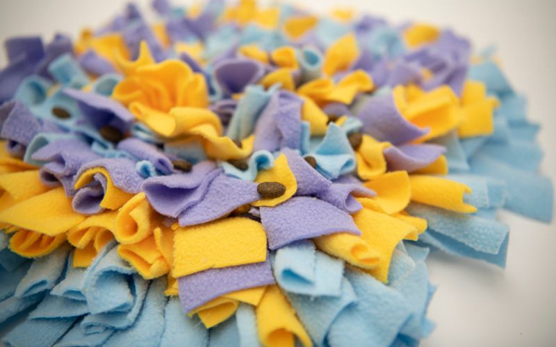 a closeup of a multi-colored snuffle mat with treats in the fabric folds