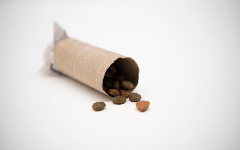 a cardboard tube with treats spilling out of it