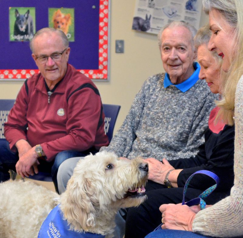 Three senior citizens interact with a dog