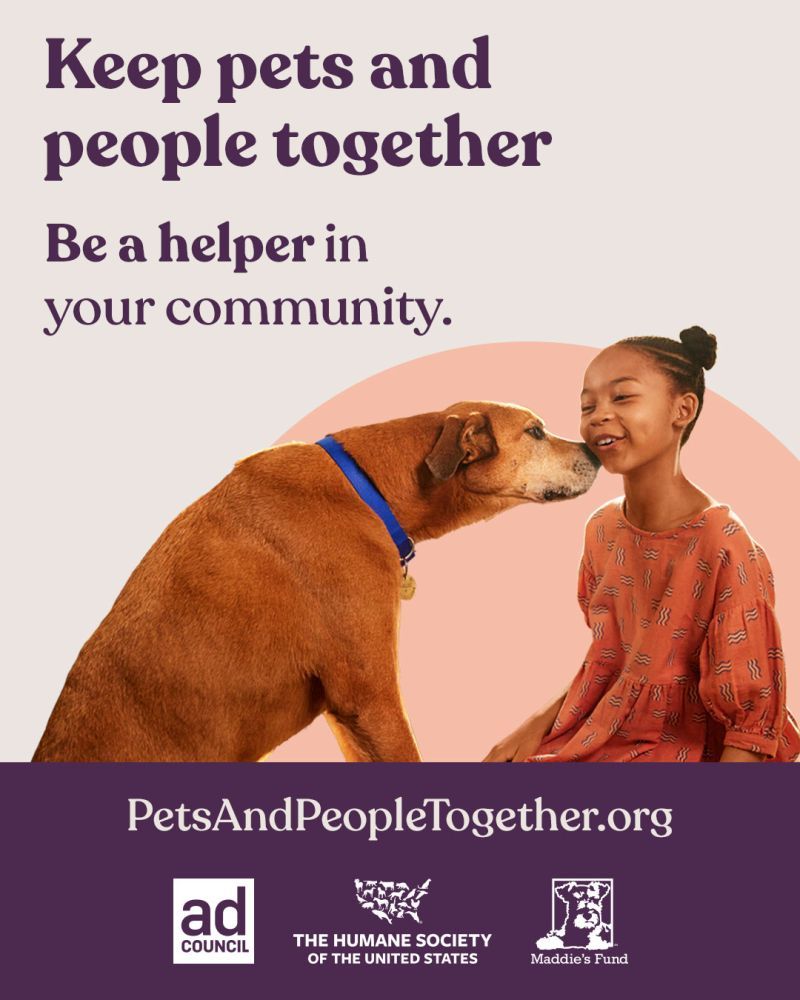 Humane society of the hot sale united states pet adoption websites