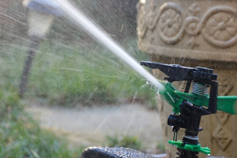 a sprinkler in a garden