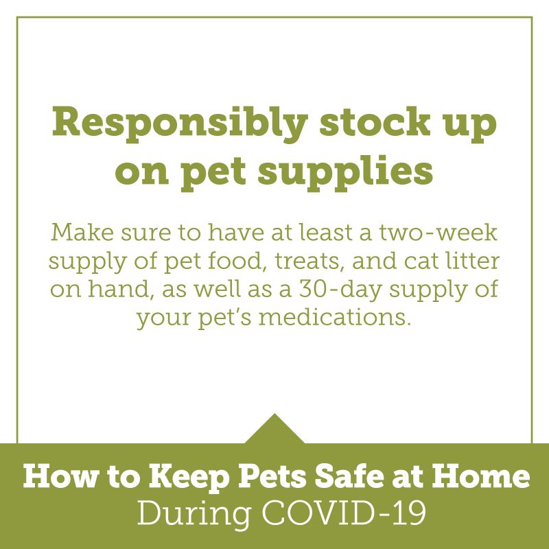 How to keep pets safe at home during COVID 19 HumanePro by The