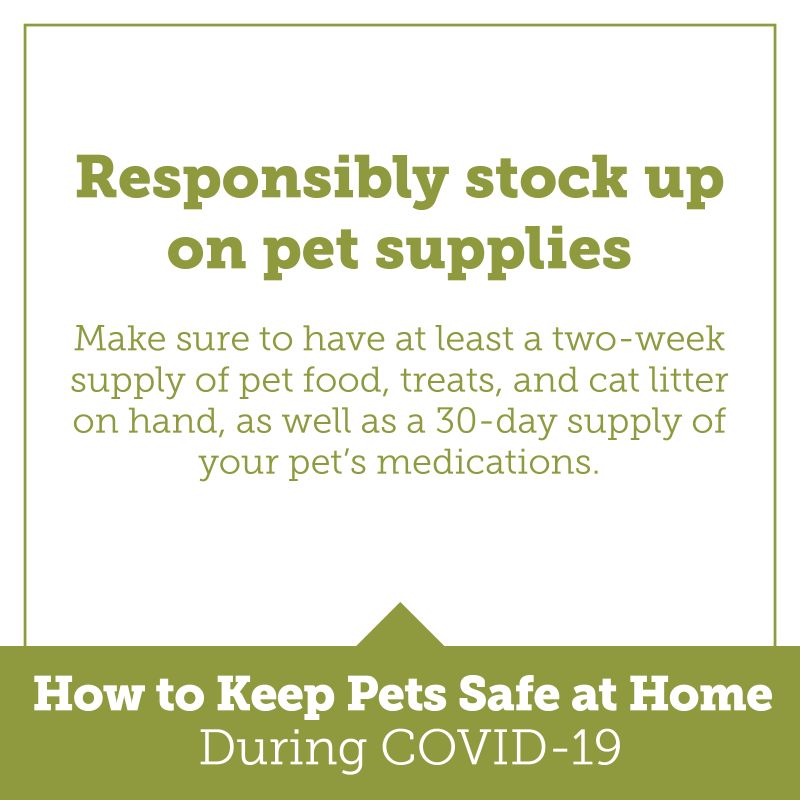 responsibly stock up on pet supplies