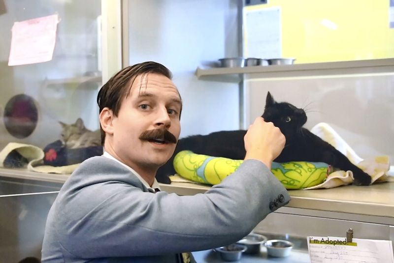 A man pets a shelter cat