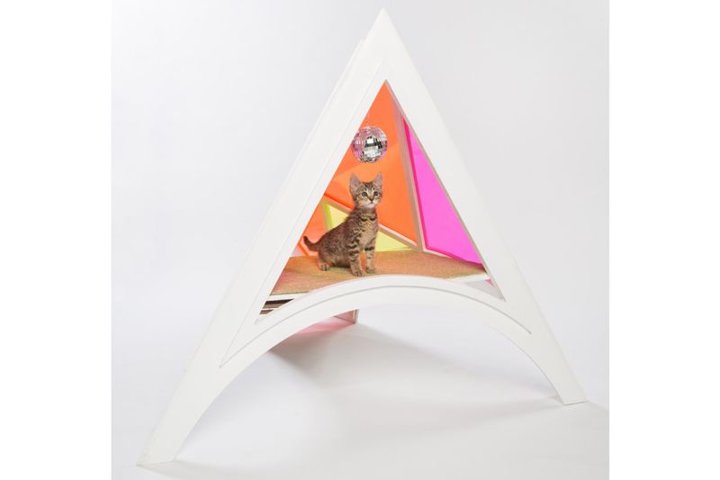 a cat peering out of a pyramid like structure lined with colored walls