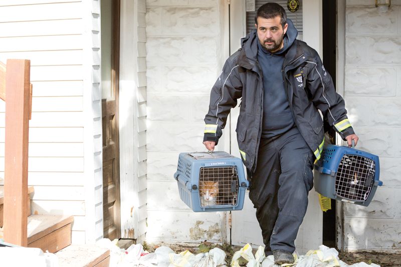 a man carries two cats in crates out of a house