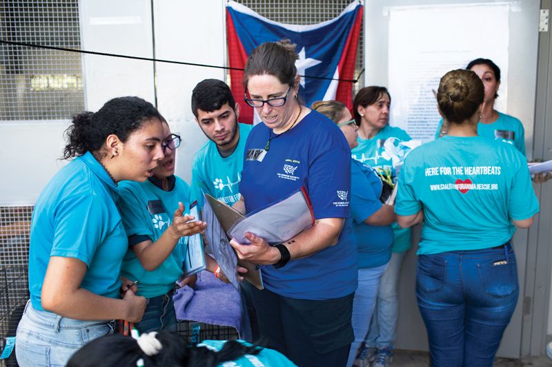 a woman speaks to a group of people