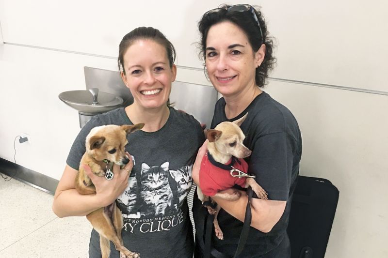 Two women holding chihuahuas