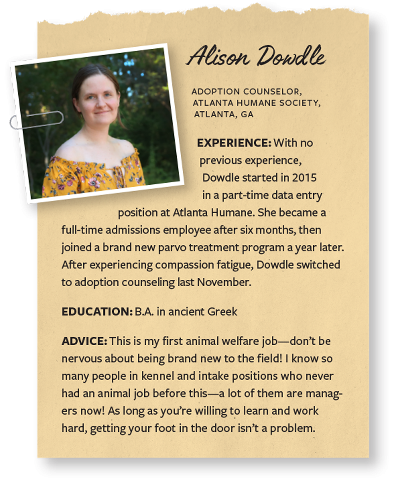Career profile Alison Dowdle