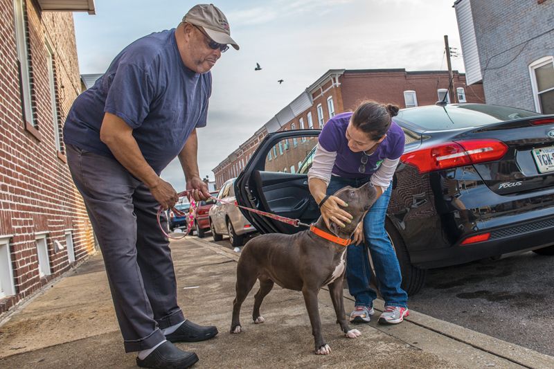 a woman greets a man walking his dog on a city street