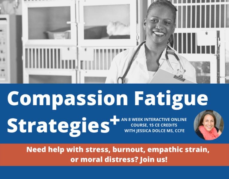 Compassion Fatigue Strategies