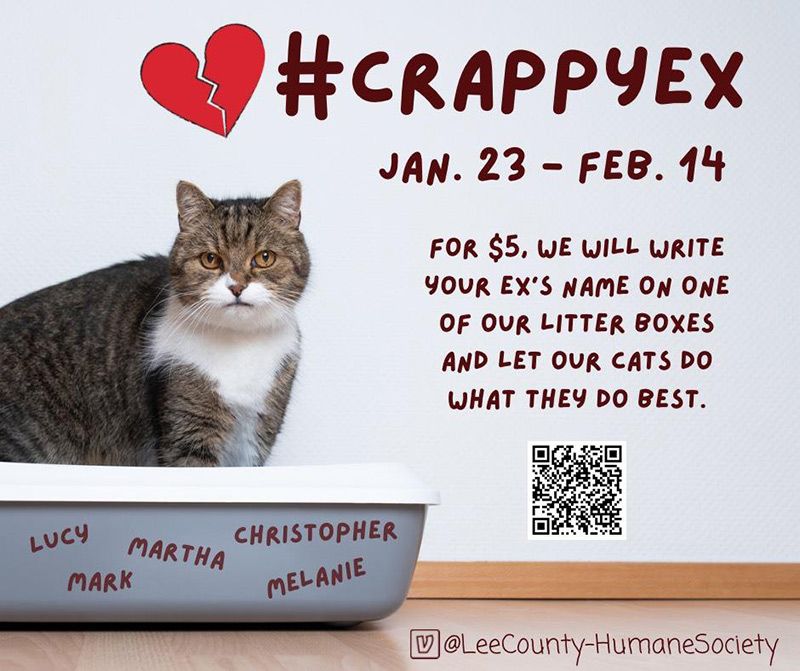 Social ad from Lee County Humane Society advertising their crappy ex campaign. Image shows a cat in a litter box with names on it.