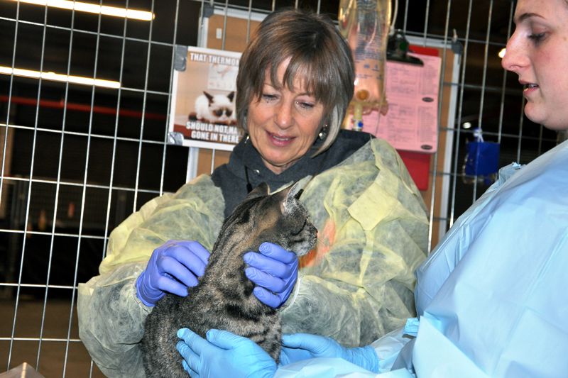 two women examine a cat