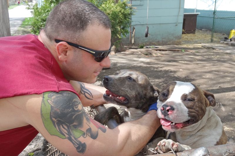 a man kneels to pet two dogs