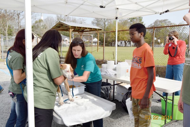 a young man looks on as vets examine his dog at an outdoor clinic