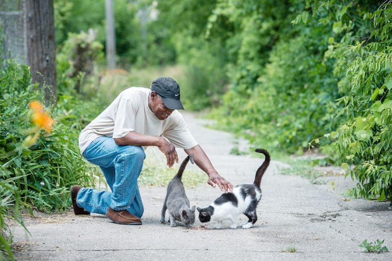 a man pets two cats as they eat