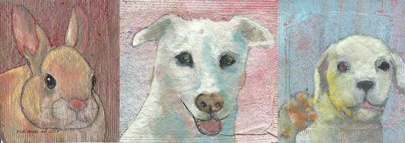 Didi Arias's tea bag artwork of adoptable pets