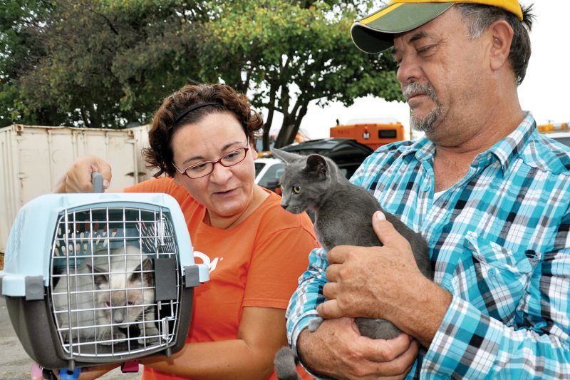 a woman holds up a crate containing a cat next to a man holding another cat