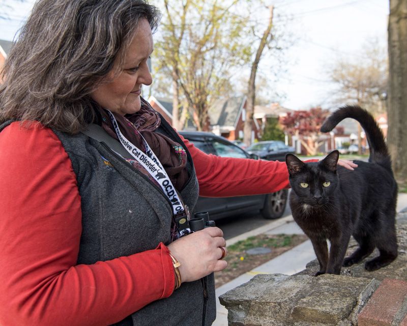 a woman pets a community cat